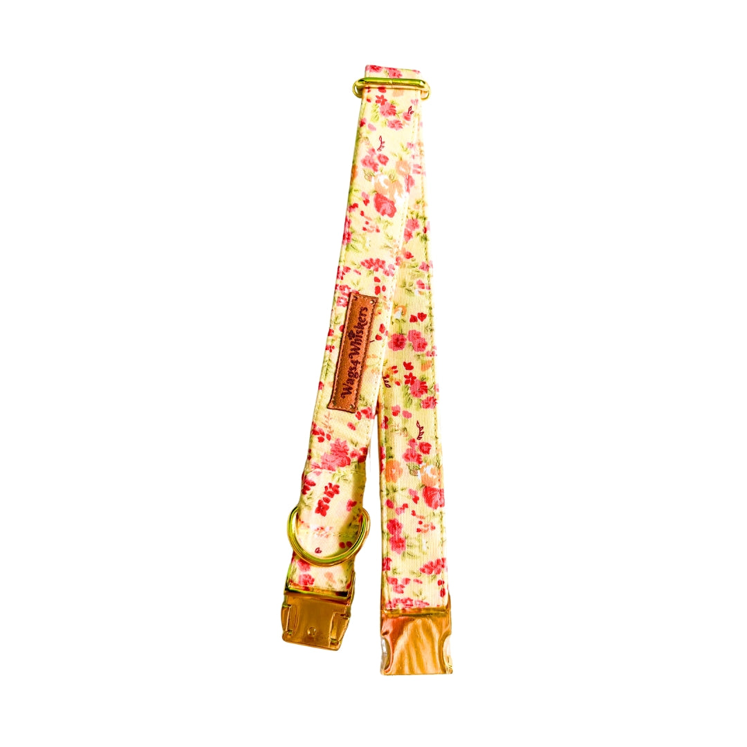 Yellow dog collars from Wags4Whiskers Pet Accessories India