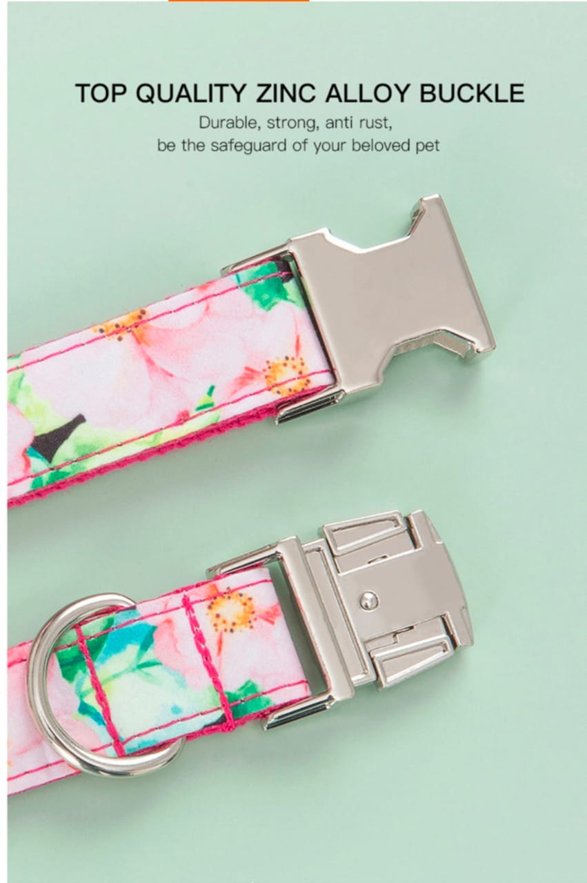 Dog collar belts from Wags4Whiskers India