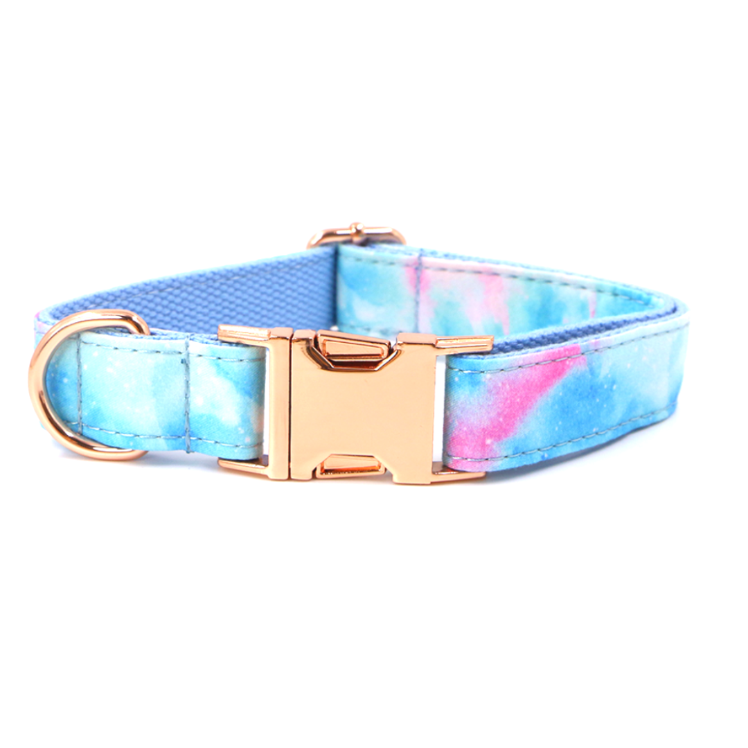 Dog collar from wags4whiskers India