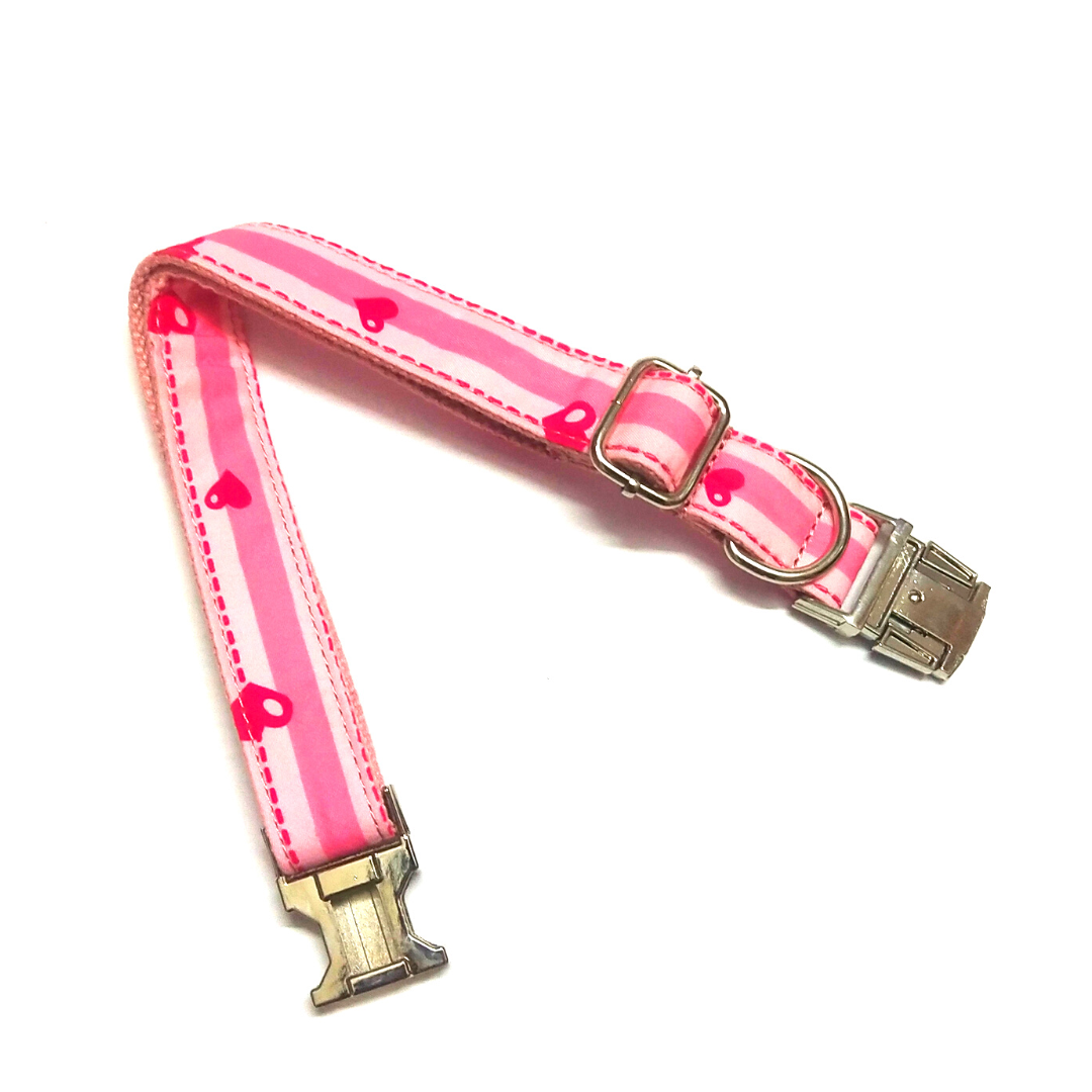 Dog Collar belts from Wags4Whiskers India