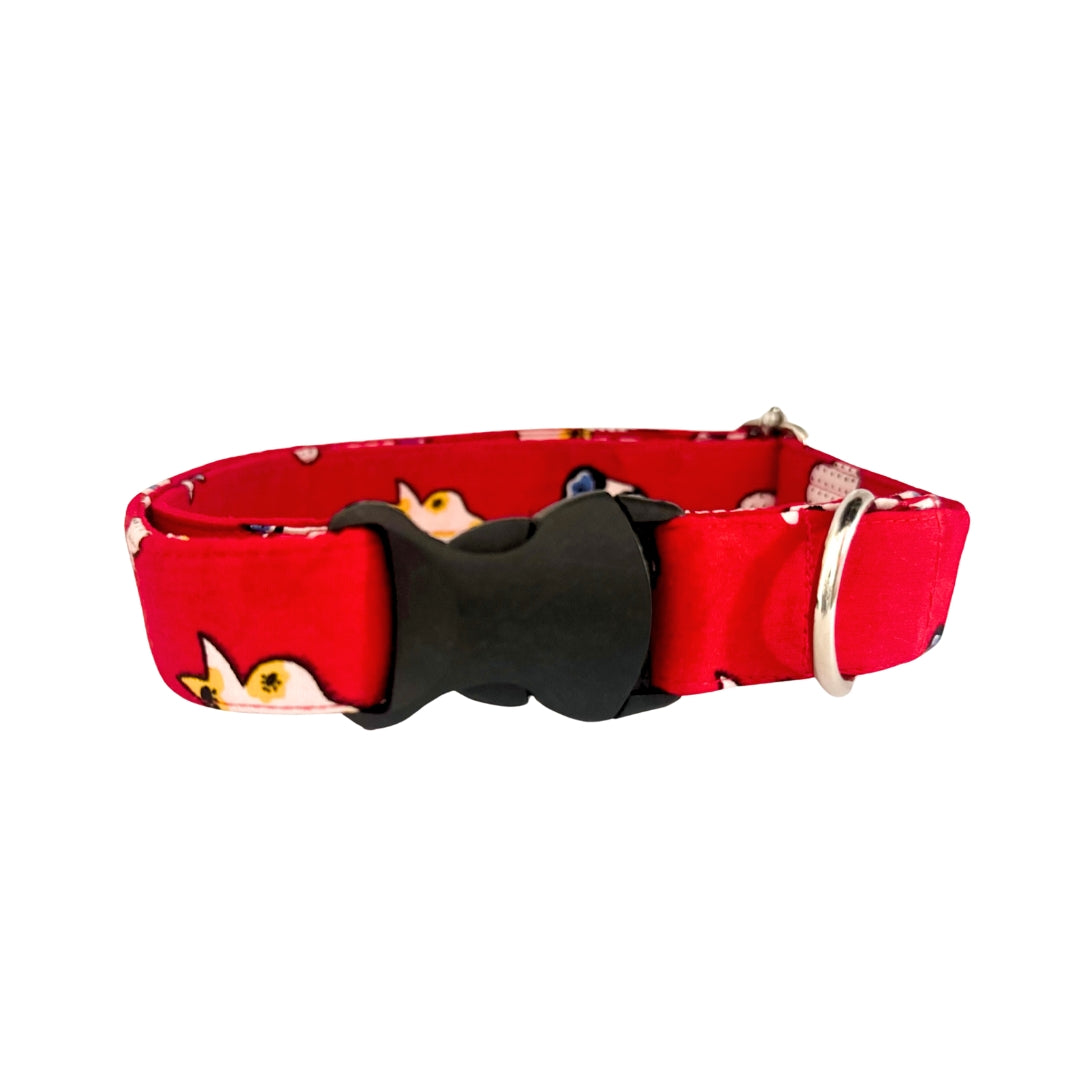 Red Dog Collar belts from Wags4Whiskers Pet Accessory Store India