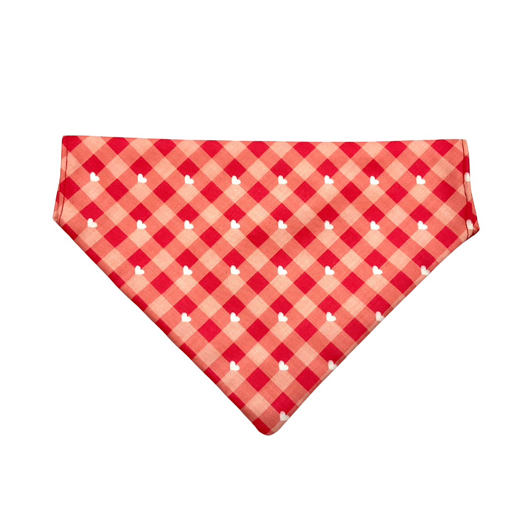 Checks Cat Bandanas Online from Wags4Whiskers India
