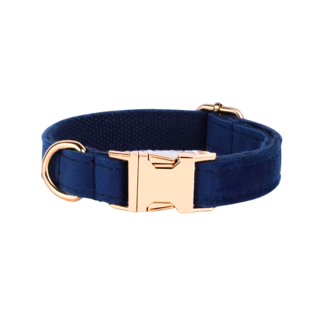 Luxury Velvet Dog Collars from Wags4Whiskers Pet Store