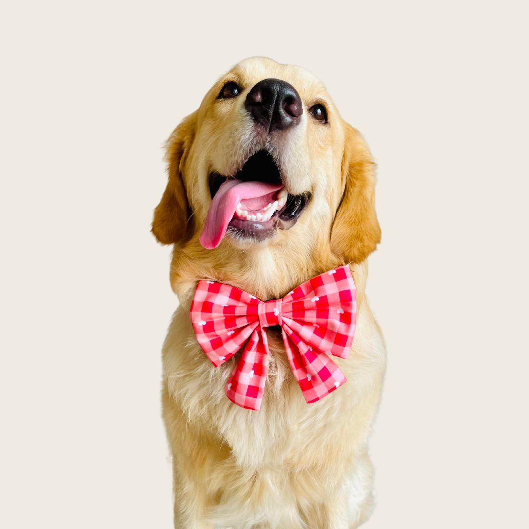 Rolex wearing Wags4Whiskers Red checked heart Sailor Bow