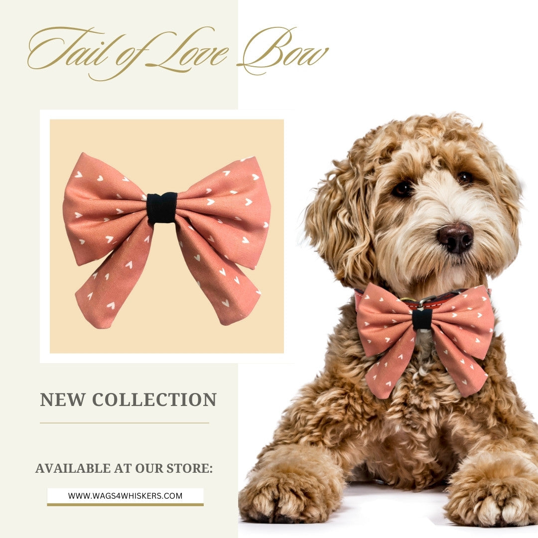 Hearts Dog Bows from Wags4Whiskers Pet Supplies Shop India