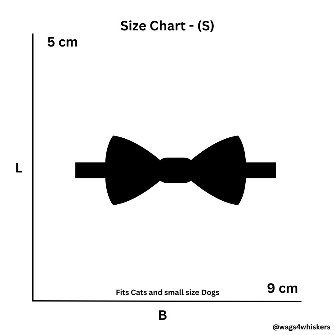 Wags4Whiskers Pet Accessories Store India