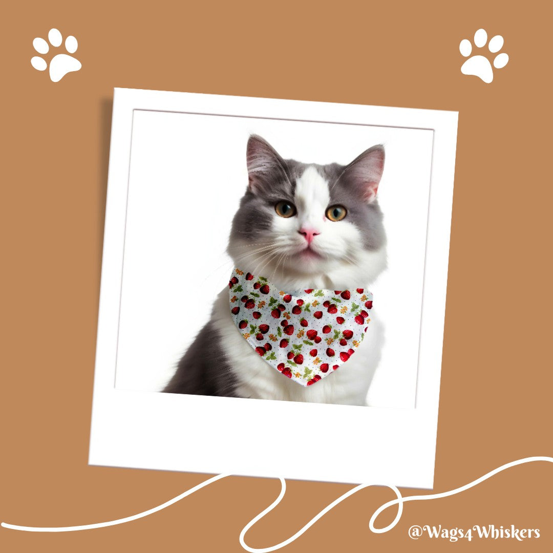 Bowtie and Bandana for Cats