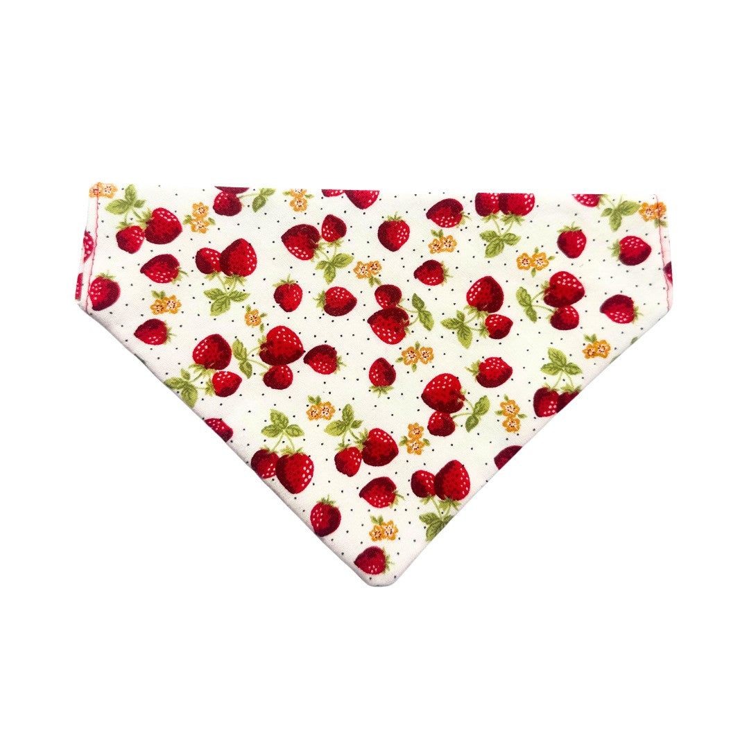 Bowtie and Bandana for Cats