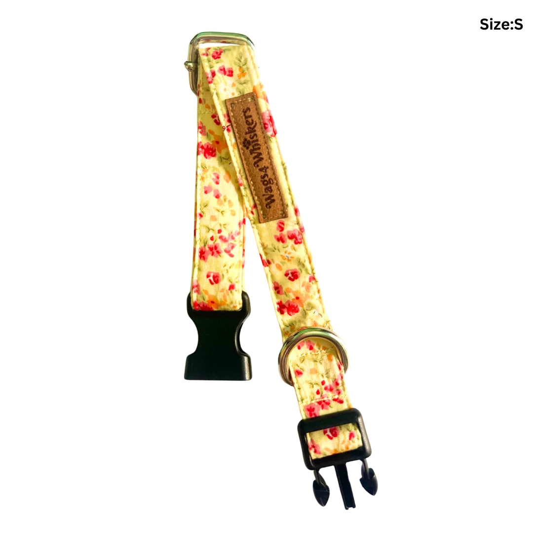 Yellow dog collars from Wags4Whiskers Pet Accessories India