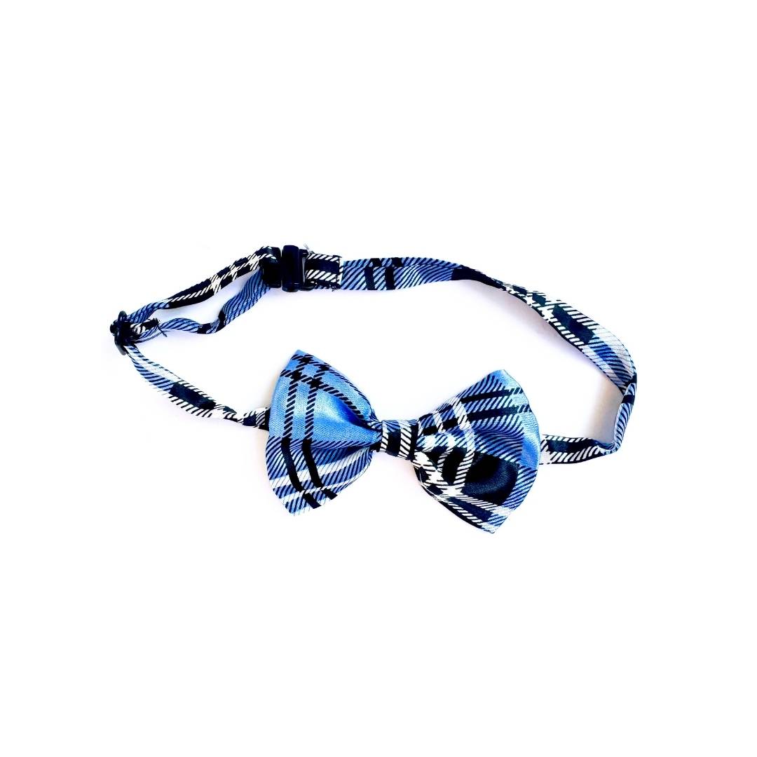 Checks Cat Bow Ties from Wags4Whiskers Pet Accessories Shop India