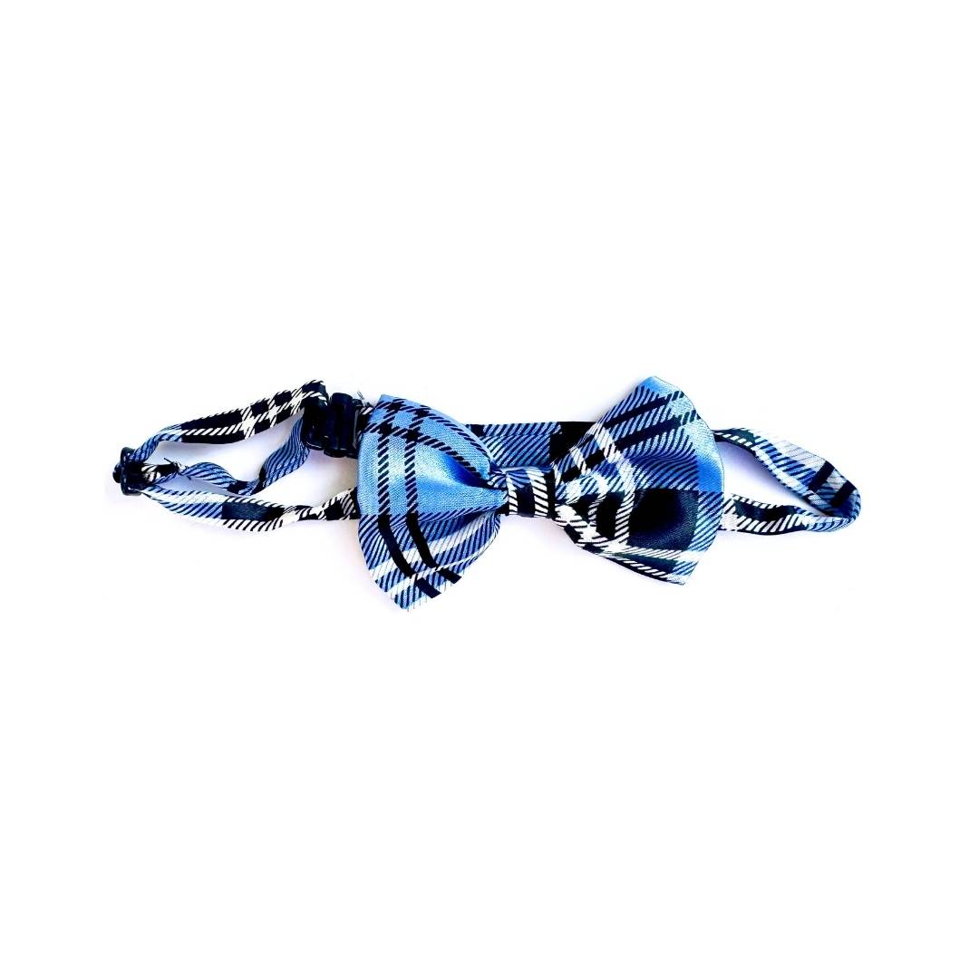 Checks Cat Bow Ties from Wags4Whiskers Pet Accessories Shop India