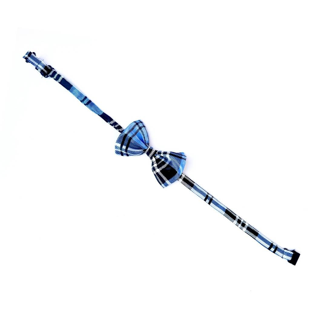Checks Cat Bow Ties from Wags4Whiskers Pet Accessories Shop India