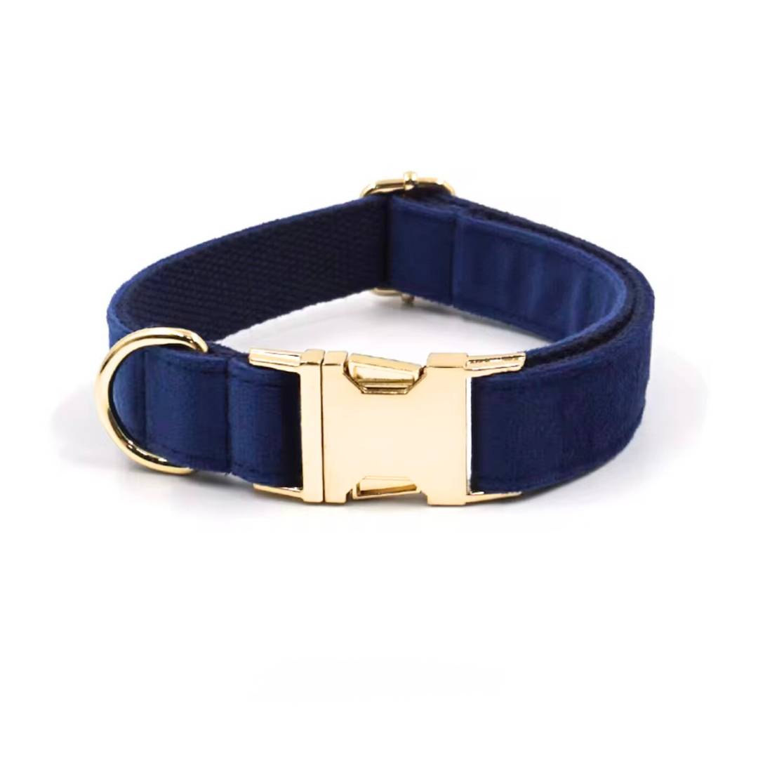 Blue Velvet Dog Collars from Wags4Whiskers Pet Accessories Store India