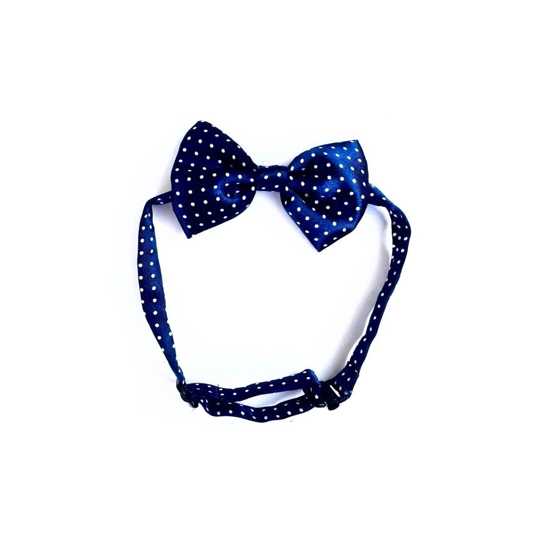 Blue Cat Bowties from Wags4Whiskers Pet Accessories Store India