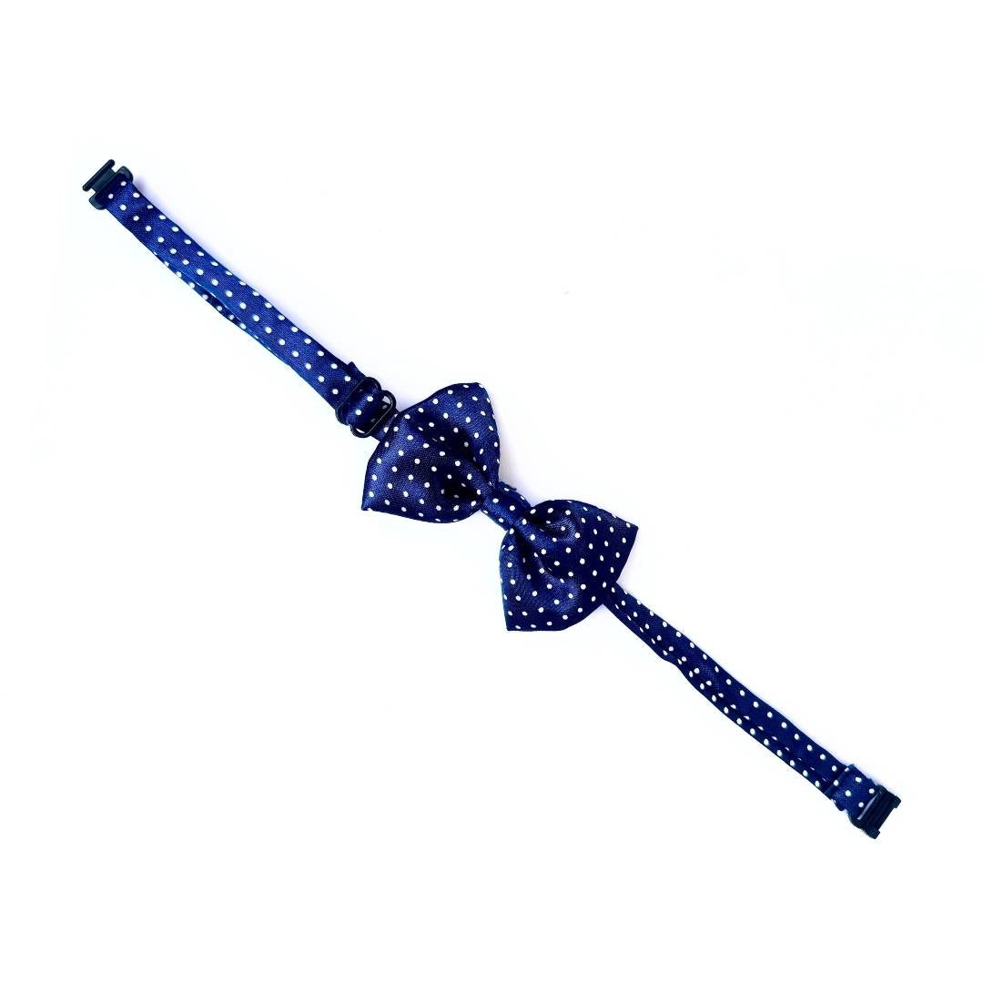 Blue Cat Bowties from Wags4Whiskers Pet Accessories Store India