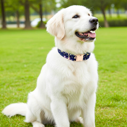 Custom Made Dog Collar Belts  from Wags4Whiskers Pet Accessories Store India