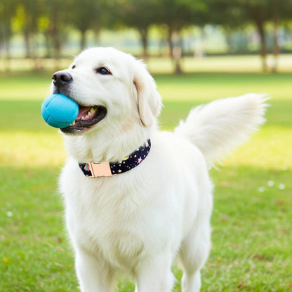 Custom Made Dog Collars from Wags4Whiskers Pet Accessories Store India