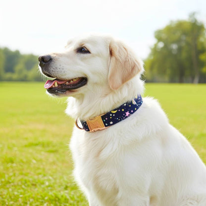 Custom Made Dog Collar Belts  from Wags4Whiskers Pet Accessories Store India