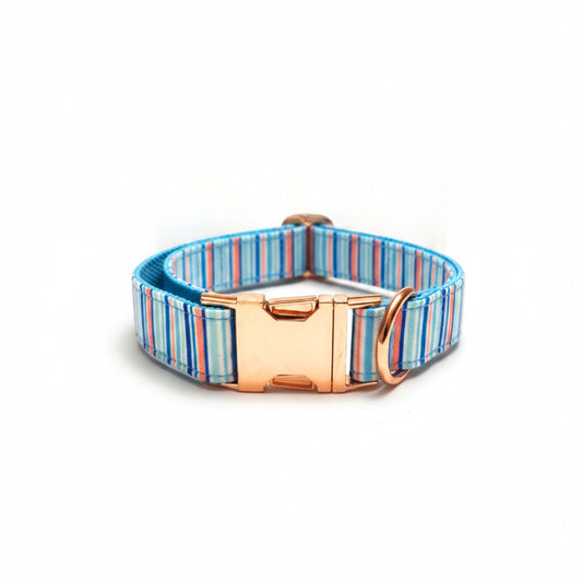 Blue dog collar India from Wags4Whiskers