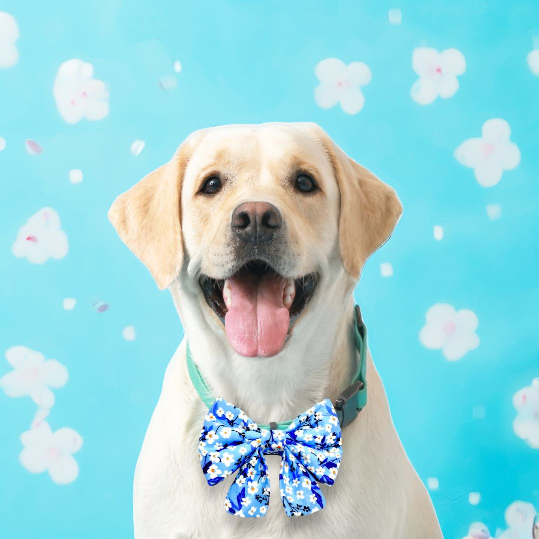 Blue Floral Sailor Bow from Wags4Whiskers Pet Store