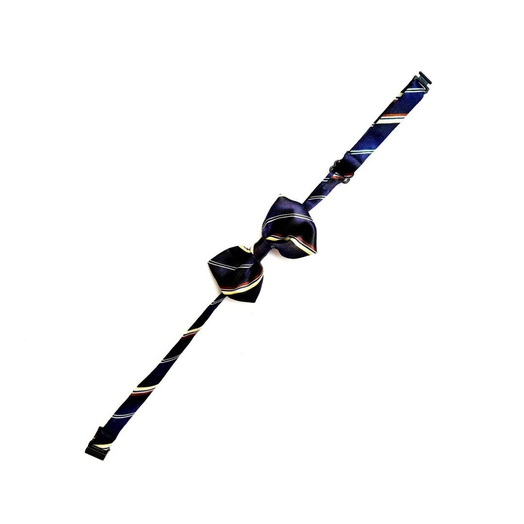 Blue Cat Bow Ties from Wags4Whiskers Pet Shop India_01