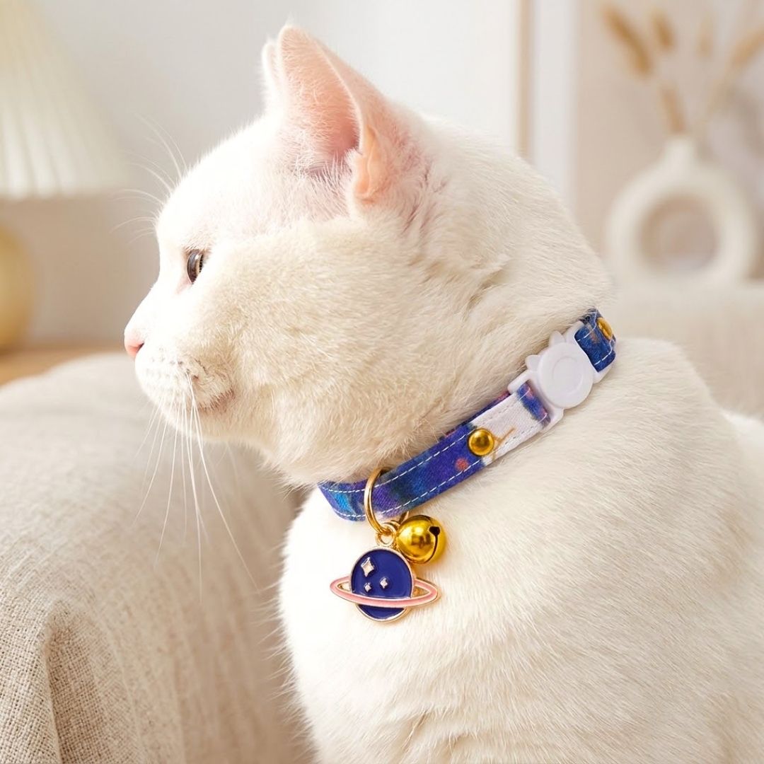 cat collars with charm from Wags4Whiskers Pet Supplies Store India