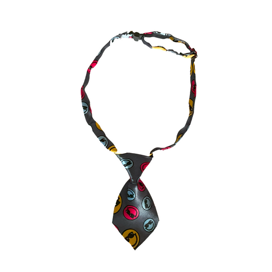 Shop Cat Accessories for for your Pets Online from Wags4Whiskers Pet Accessories Supply Store In India