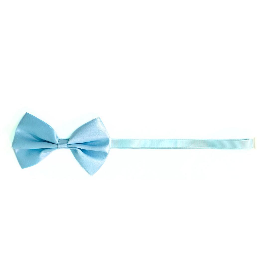 Blue satin cat bow ties from Wags4Whiskers Pet Shop in India