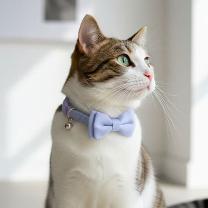 Cat Bow Collars India from Wags4Whiskers Pet Store