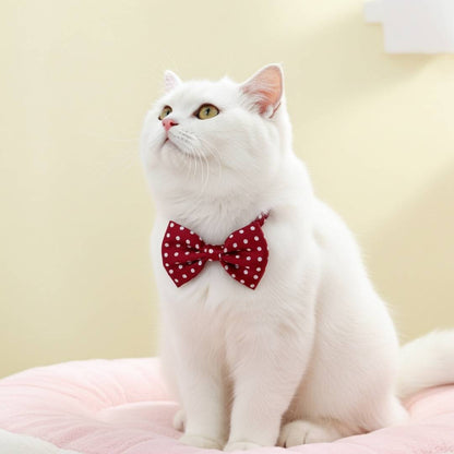 Cat Bow Ties from Wags4Whiskers Pet Store India