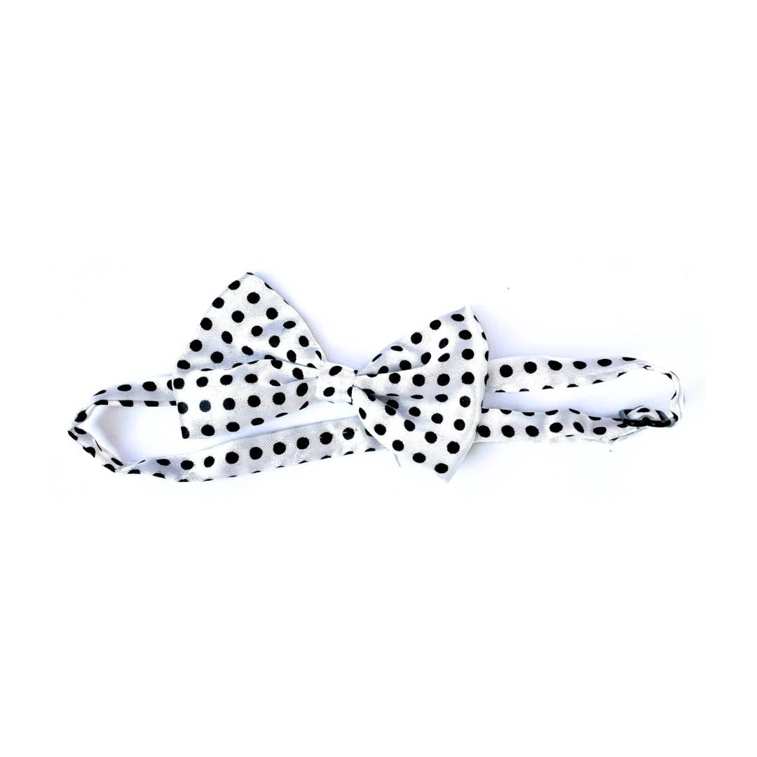 Cat Bow Ties from Wags4Whiskers Pet Accessories Shop India
