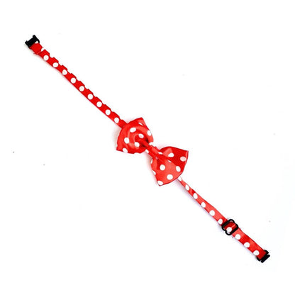 Cute Cat Bow Ties from Wags4Whiskers Pet Accessories Shop India