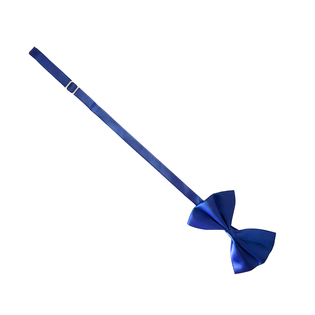 Cat Accessories from Wags4Whiskers Pet Supply Store India Online
