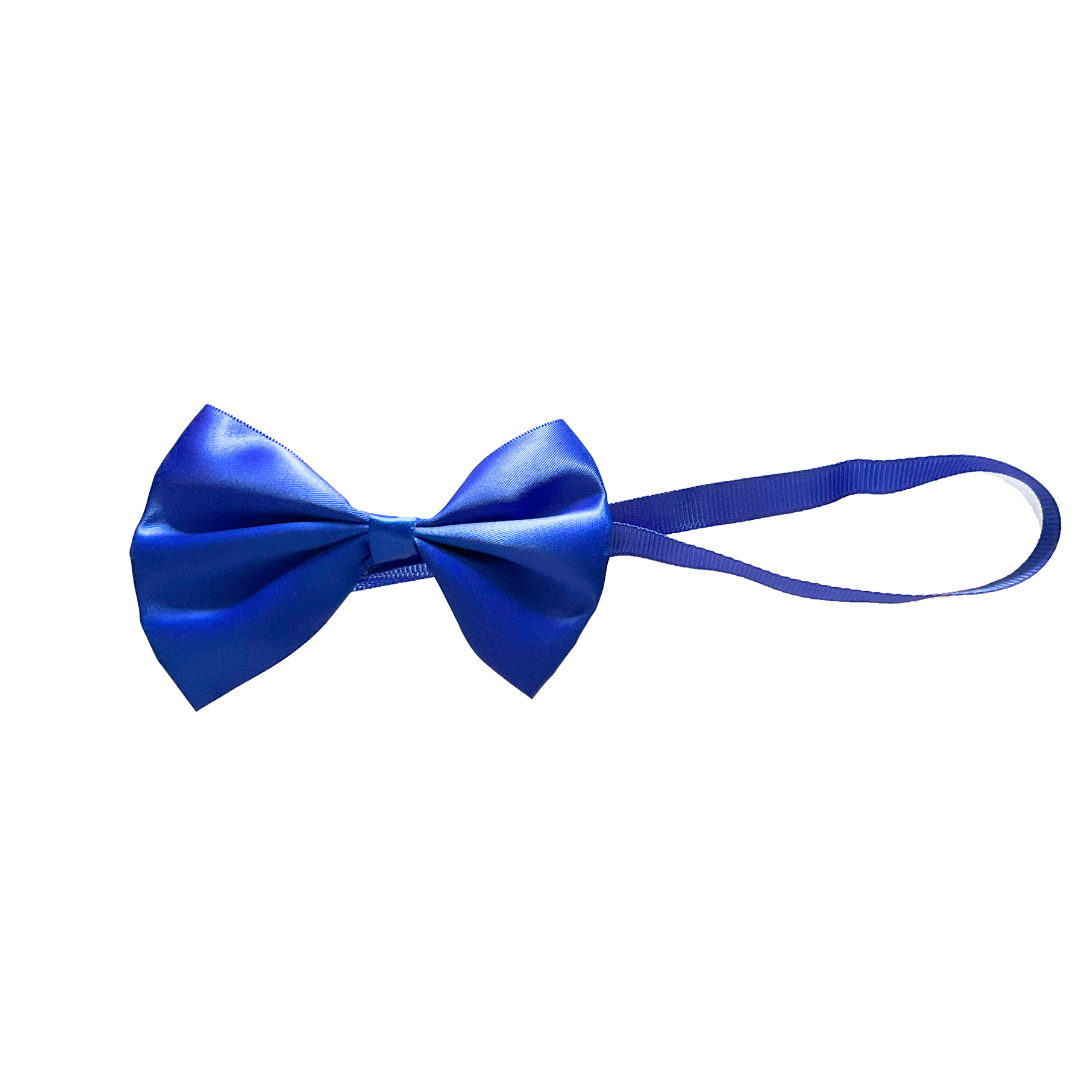 Cat Accessories from Wags4Whiskers Pet Supply Store India Online