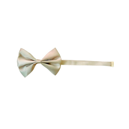Cat Accessories from wags4whiskes Pet Supplies Store India