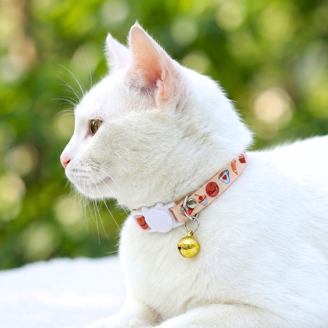 Cat Collar belts from Wags4Whiskers Pet Supplies Store India