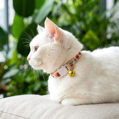Cat Collar belts from Wags4Whiskers Pet Supplies Store India