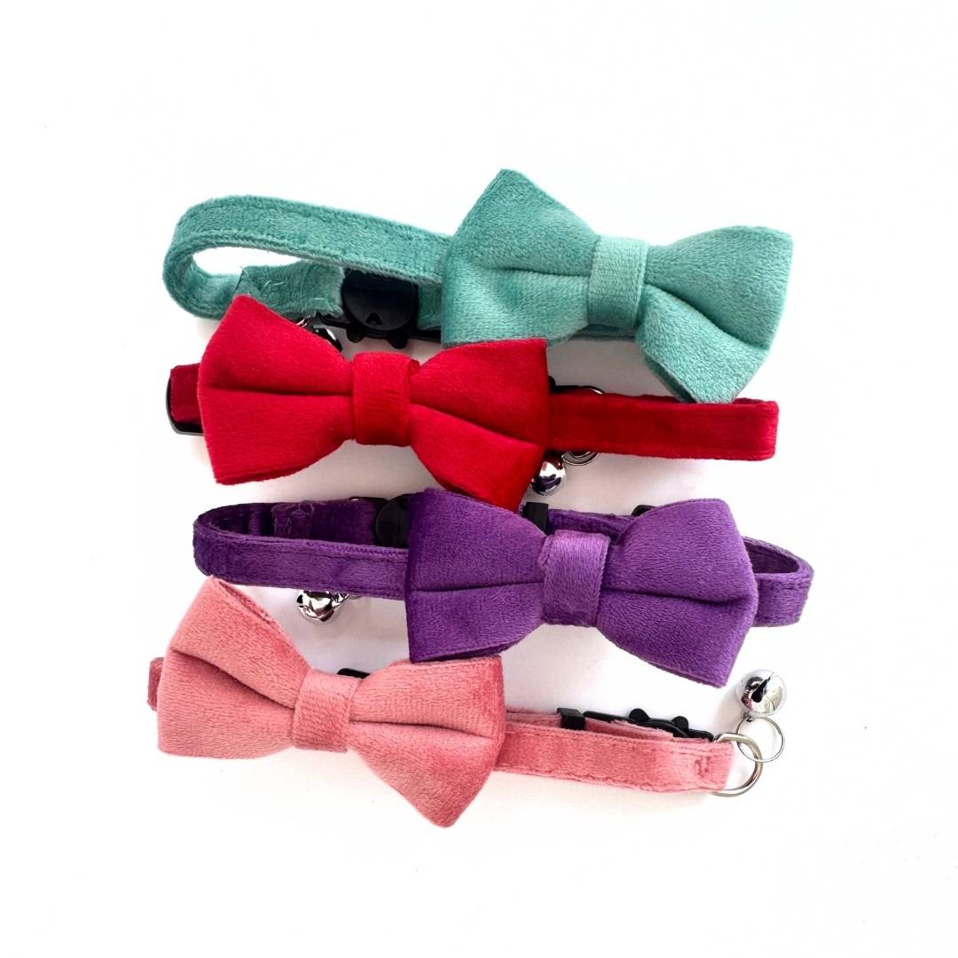 Purple Velvet Bow Cat Collar