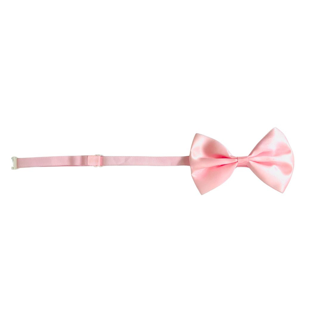 Pink Cat Bow ties from Wags4Whiskers Pet Shop India