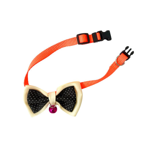 Cat collar belts from wags4whiskers Pet Accessories Shop in India
