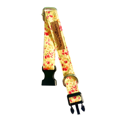 Collar belts for cats and puppies 