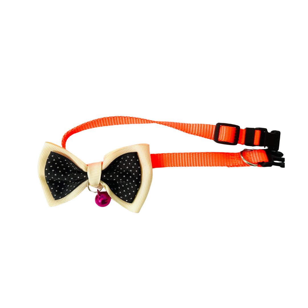 Cat collar belts from wags4whiskers Pet Accessories Shop in India