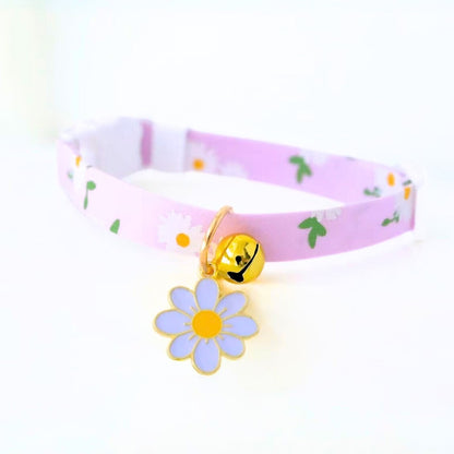 Cat collar belts from wags4whiskers Pet shop india