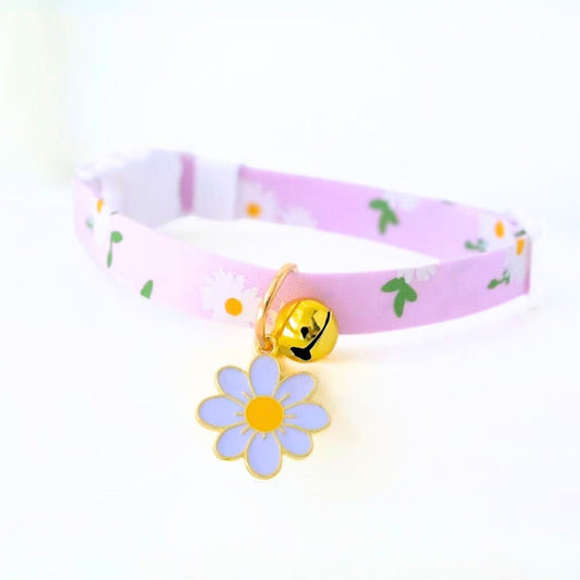 Cat collar belts from wags4whiskers Pet shop india