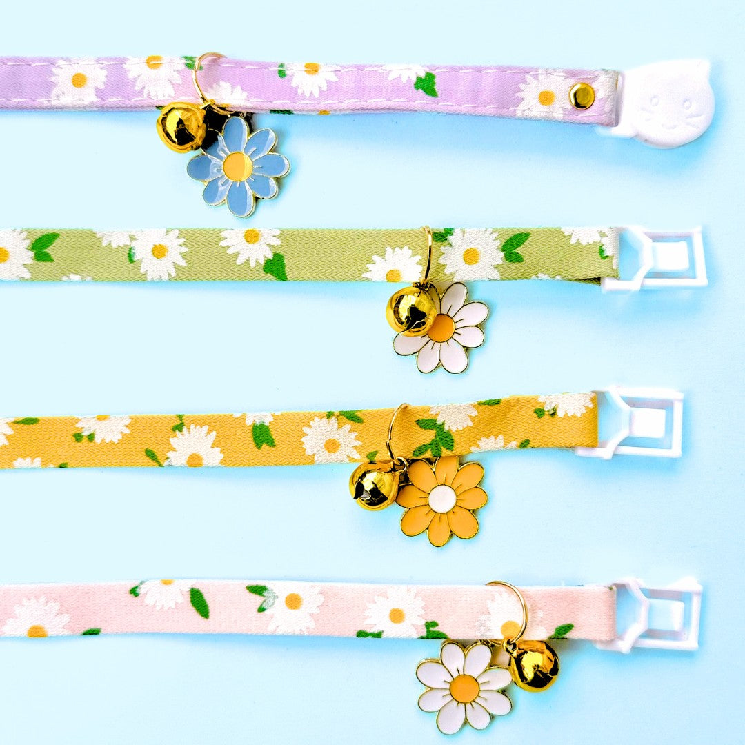 Cat Collar belts from Wags4Whiskers Pet Accessories and Supplies Store India