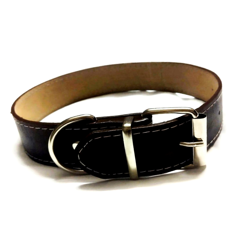 Plain Dog Collars from Wags4Whiskers Pet Store