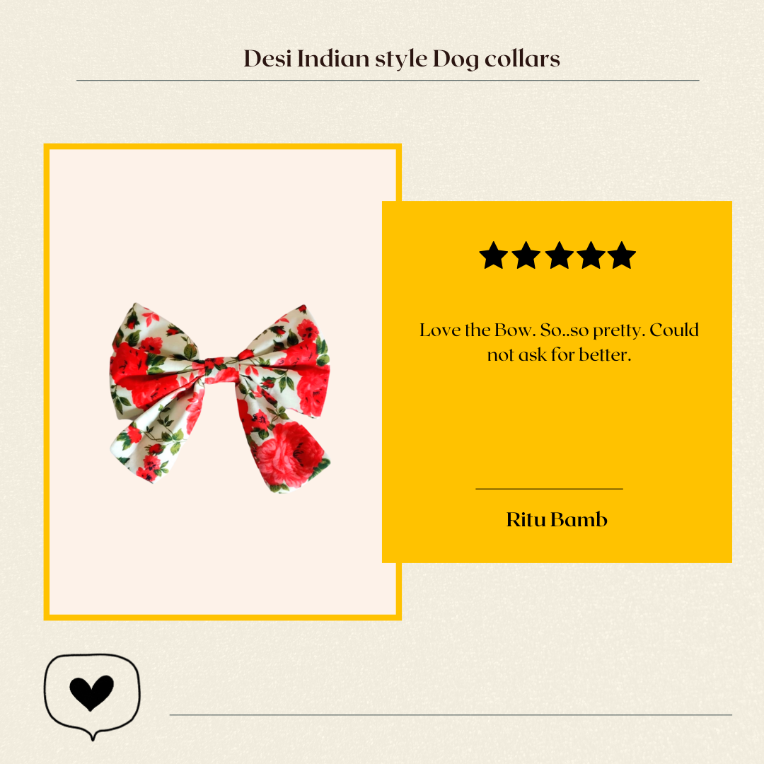 Read our customer testimony on our pet products from Wags4Whiskers