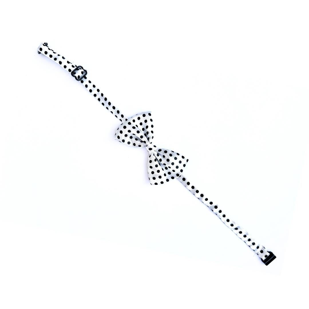 Polka Cat Bow Ties from Wags4Whiskers Pet Accessories Shop India