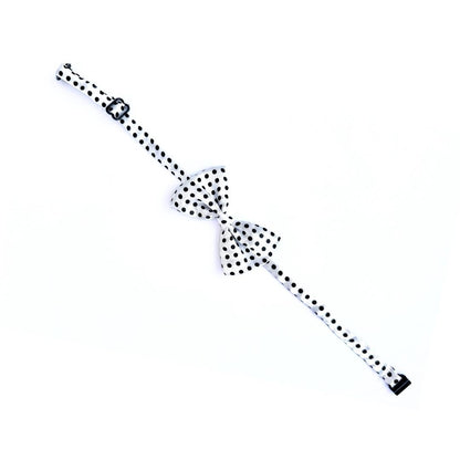 Polka Cat Bow Ties from Wags4Whiskers Pet Accessories Shop India
