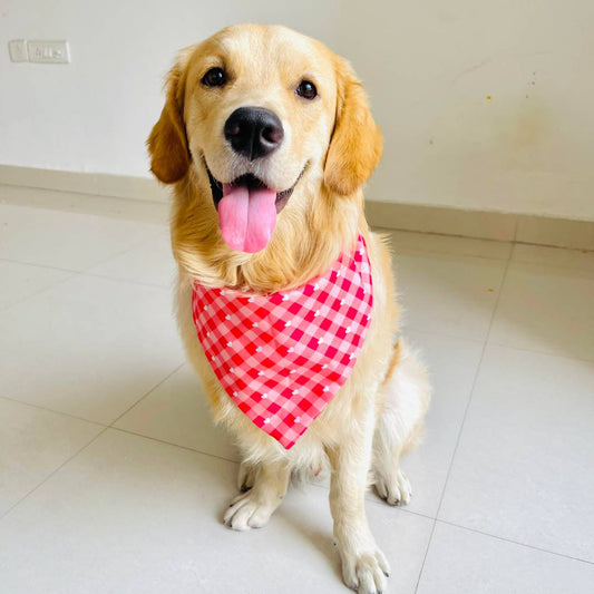 Red Plaid Hearts Dog Bandana